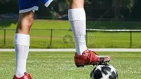 开云体育官网投注 产品 101458 qe1