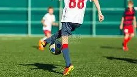 杨瀚森：克林根与武切维奇的并行楷模