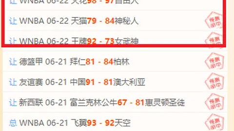 开云体育官网投注 114207